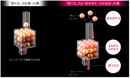 Fighting the Aging Process With Fancl