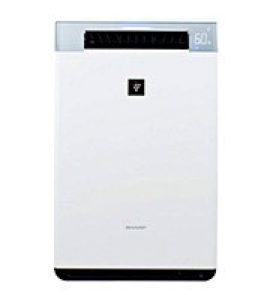 Top Japanese Air Purifiers: Go For PM2.5 Support!