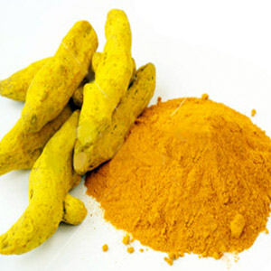 Turmeric Supplements - Spring Turmeric (aka Wild Turmeric)